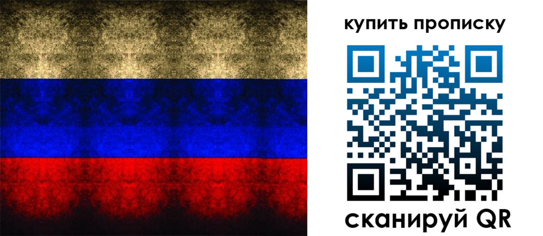 прописка в Киселёвске
